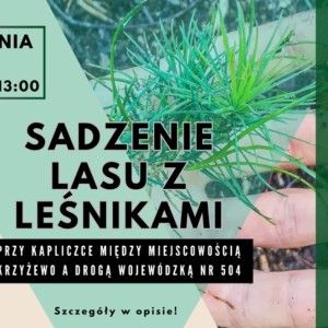 Zapraszamy wszystkich mieszkańców Elbląga i okolic na wspólne wiosenne sadzenie drzew z leśnikami z Nadleśnictwa Elbląg.