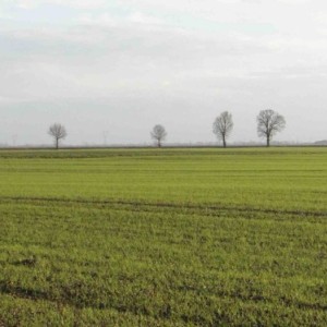 Horyzont Żuław – między rzeką, morzem a człowiekiem. Debata o przyszłości Żuław już 19 listopada 2025 r.