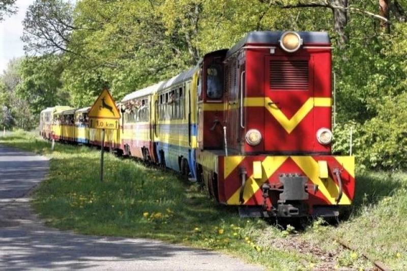Kolejowa Majówka 2021 na Żuławach. Zobacz szczegółowy rozkład jazdy.