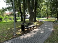 Gmina Nowy Dwór Gdański przeprowadziła prace naprawcze w miejskim parku
