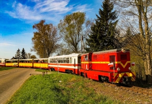 Powiat Nowodworski. Żuławska Kolejka Dojazdowa - wąskim torem po Żuławach - 10.06/02.09-2017