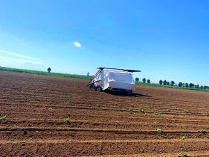 Praca gospodarstwo rolne