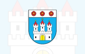 Ogłoszenie Burmistrza Nowego Dworu Gd. o wyniku przetargu.