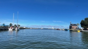 Komunikat służb sanitarnych: nie ma przeciwwskazań do spożycia ryb z Zalewu Wiślanego