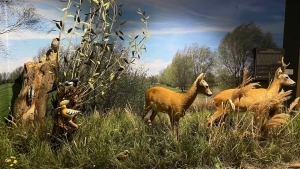 Otwarcie Centrum Edukacji Ekologicznej przy Parku Krajobrazowym "Mierzeja Wiślana"