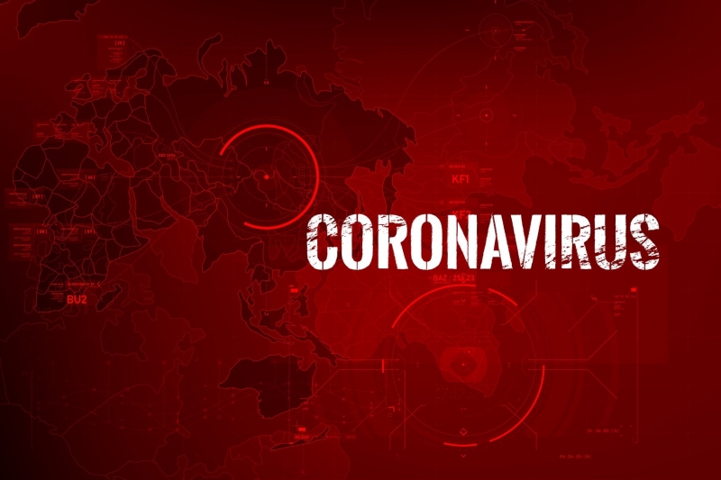 Potwierdzono  obecność wirusa SARS-CoV-2 u 2 osób przebywających w powiecie nowodworskim.
