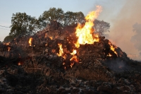 Powiat Nowodworski. Plaga pożarów stert i ściernisk.