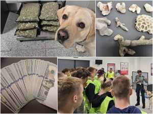 KAS przeciwdziała napływowi nielegalnych towarów