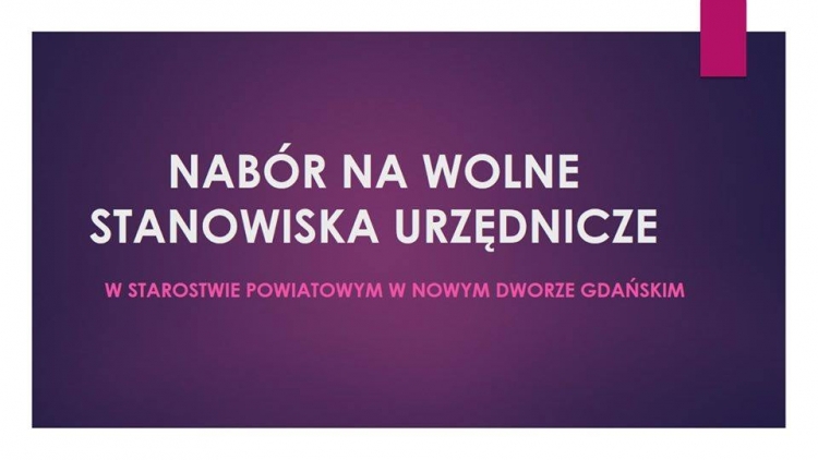 Powiat Nowodworski. Nabór na wolne kierownicze stanowiska w Starostwie Powiatowym.