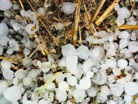 Silne gradobicie i sztorm na Mierzei Wiślanej - 24.09.2018