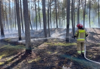 Mierzeja Wiślana. Poźar lasu w Mikoszewie [Wideo z drona]