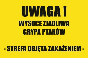 Grypa ptaków w Gminie Stegna. 