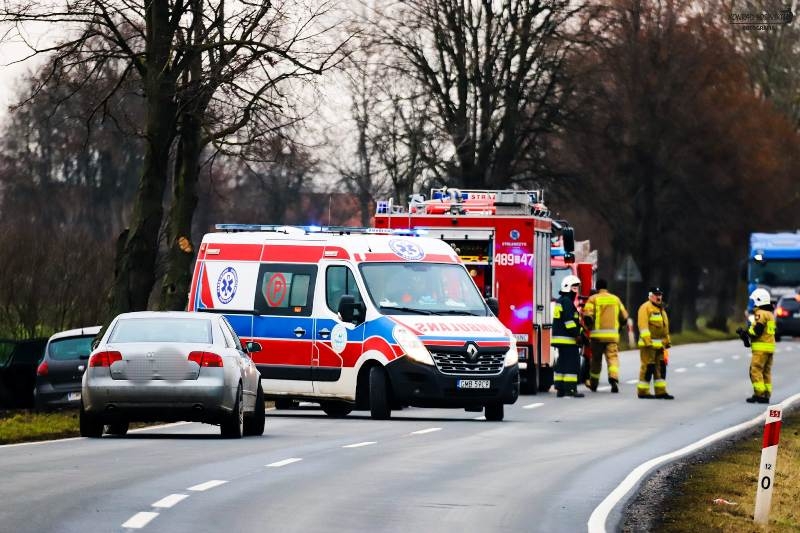 Wypadek na drodze krajowej nr 55. Między Chlebówką a Dębiną samochód wypadł z jezdni i uderzył w drzewo.
