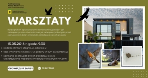 Warsztaty o ochronie ptaków i bezpiecznym projektowaniu budynków już 15 maja