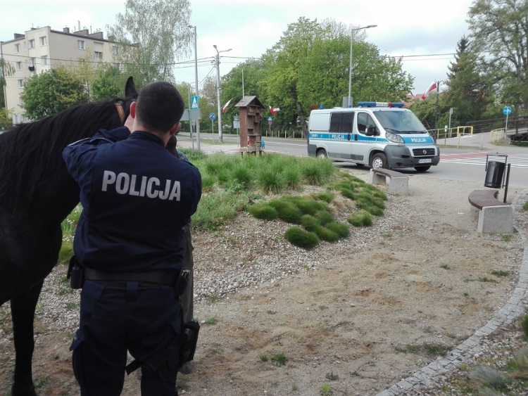 Nowy Dwór Gdański. Policjanci ujarzmili biegającego po terenie miasta konia.