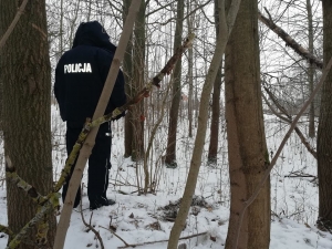 Rolnik znalazł pociski artyleryjskie z czasów II Wojny Światowej.