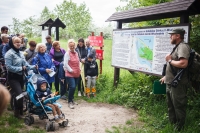 Ptasi Piknik na Wyspie Sobieszewskiej