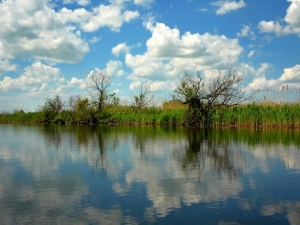 Żuławy. Rozbudują system monitoringu przeciwpowodziowego.